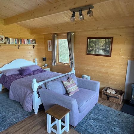 Cosy Cabin In Annie'S Meadow West Meon Dış mekan fotoğraf